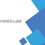 wms系統(tǒng)怎么選擇？