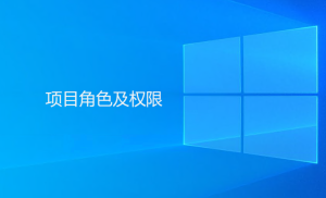 Gungho系統內項目角色及權限相關描述